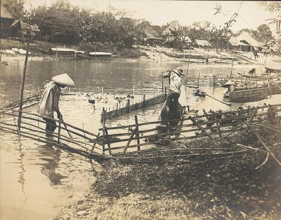 Duck-farm-in-Pasig-River